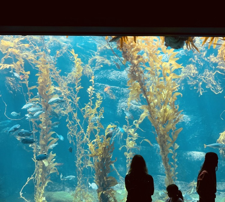 Birch Aquarium at Scripps Institution of Oceanography (La&nbspJolla,&nbspCA)